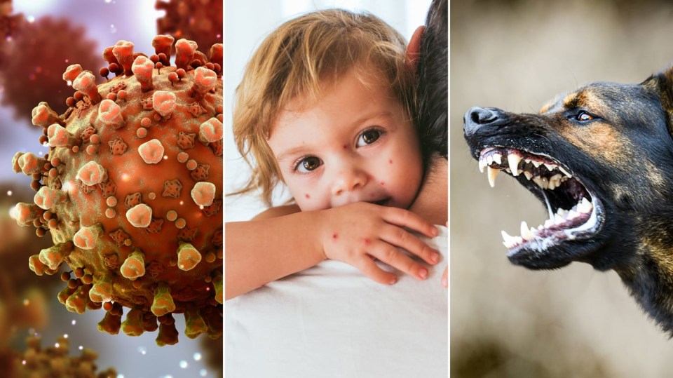 Koronavirus není jediným virem, který člověka ohrožuje